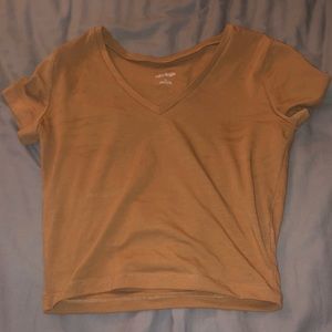 Wild Fable Target Tan V-Neck Crop Top